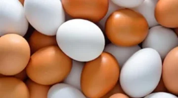 تغيرات أسعار البيض في الأسواق المحلية بمحافظة كفر الشيخ يوم الأربعاء 4 مارس